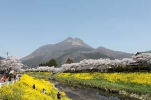 湯布院の四季